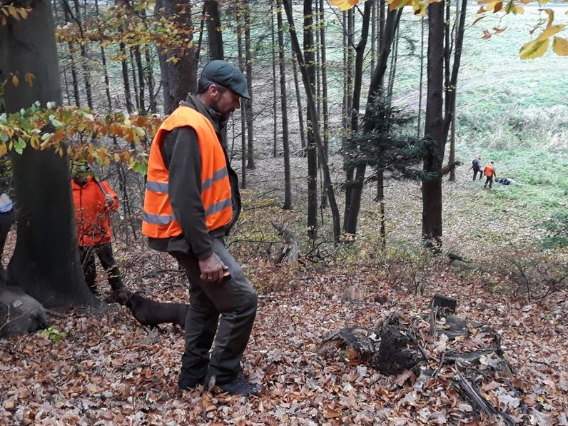 Vaddisznóhajtás lesz november 18-án!