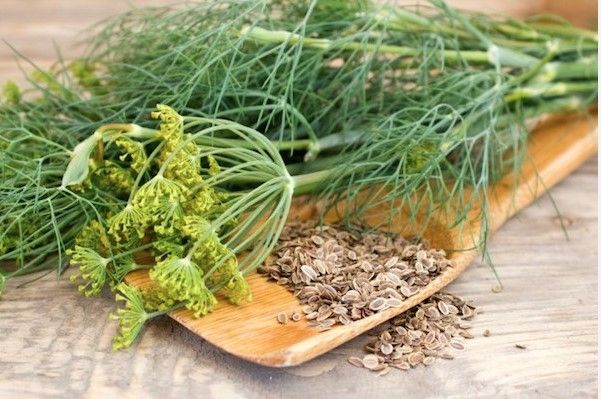 Kapor 50 g