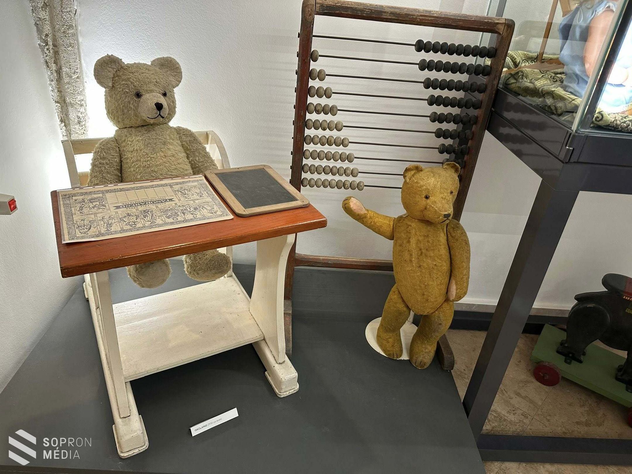 Mackóünnep a Soproni Múzeumban