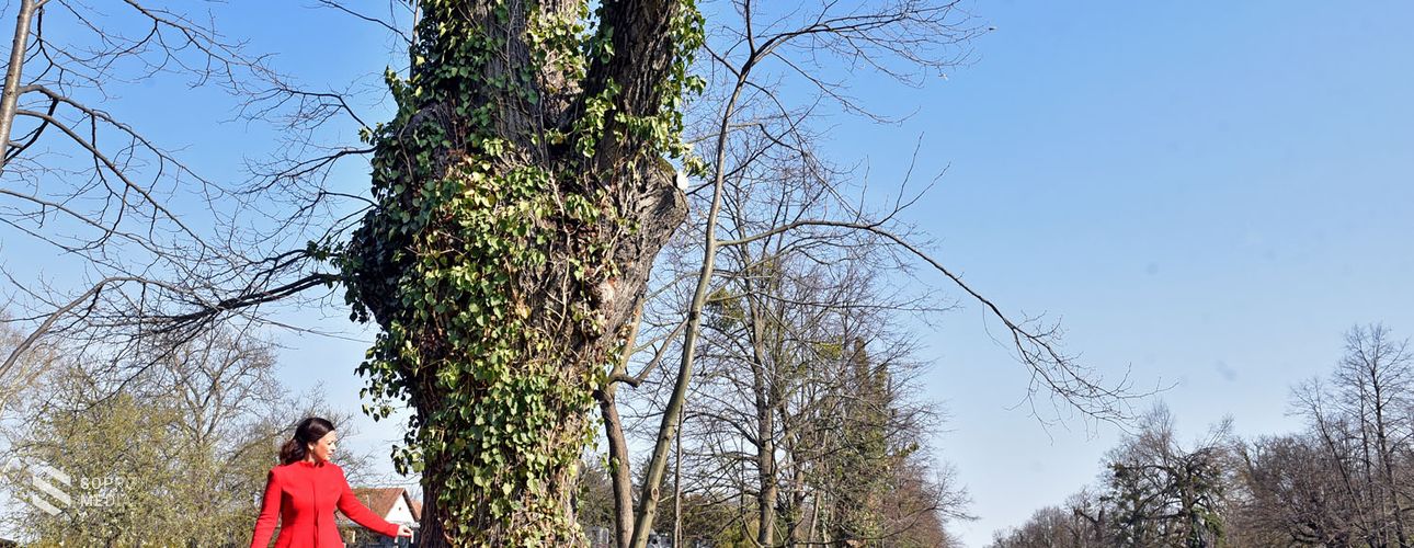 Történeti kertek napjai az Eszterháza Központ örökséghelyszínein