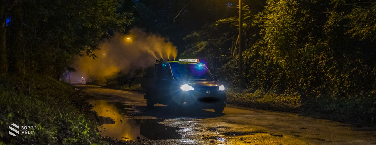 Földi szúnyoggyérítést végeznek Sopron területén