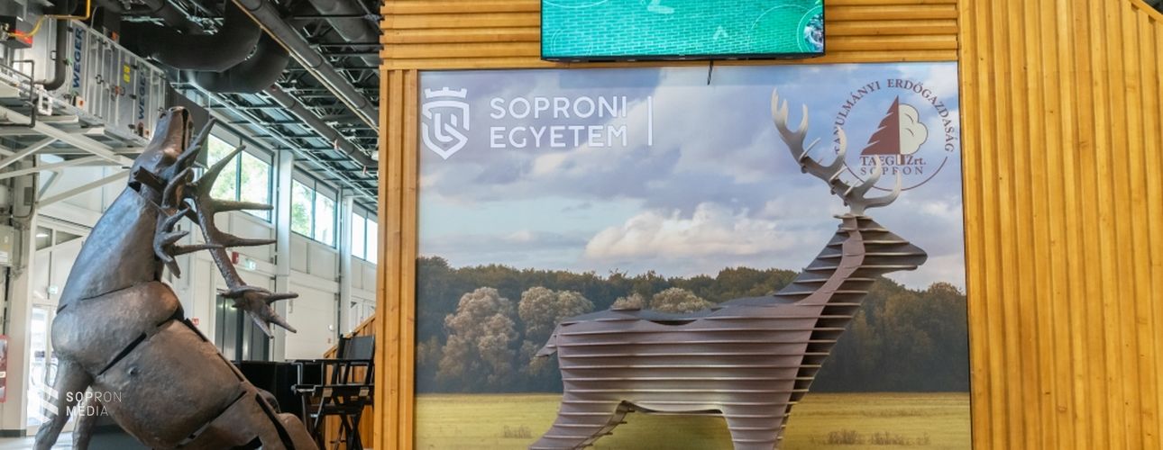 Vadászati és természeti világkiállítás a Soproni Egyetemmel