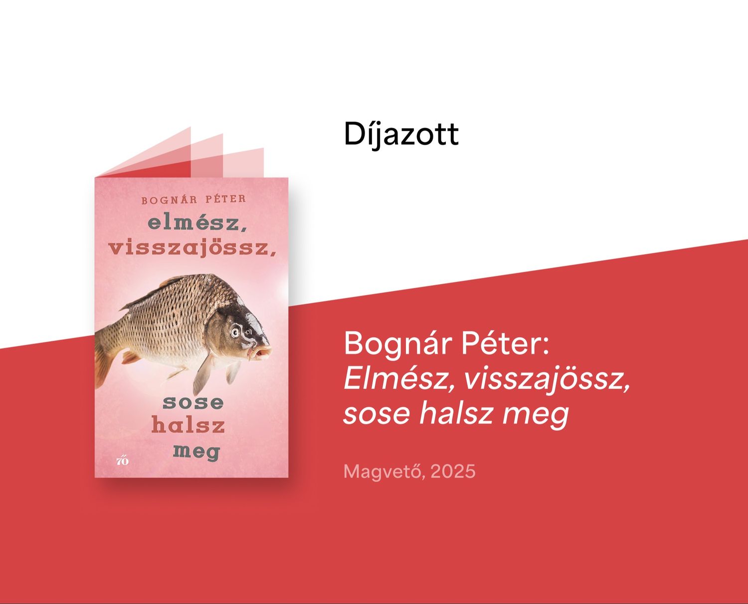 Bognár Péter nyerte a 2026-os Esterházy Irodalmi Díjat