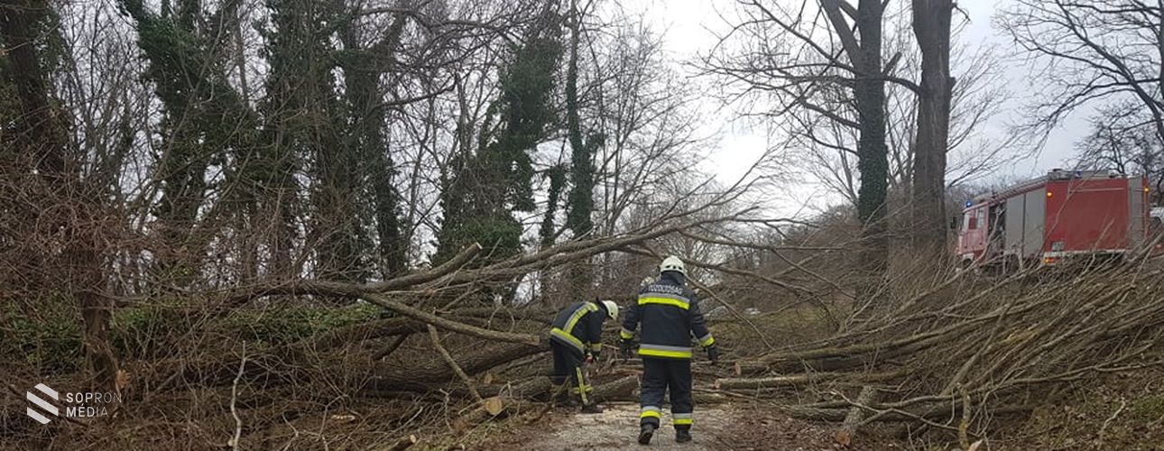Már kárt is okozott a viharos szél 