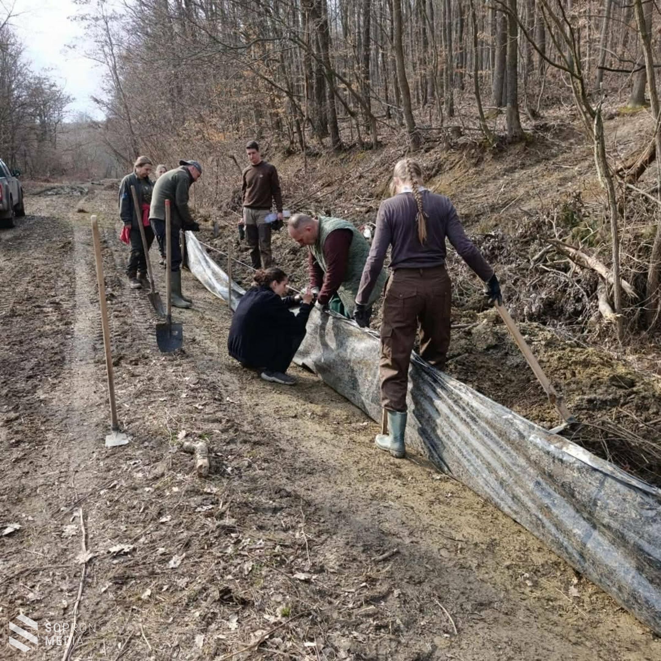 Javában zajlik a békamentés a Fehér úti-tónál