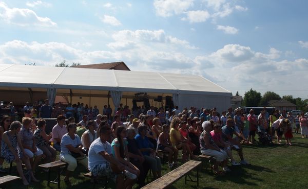 25. Falunap 2014. augusztus 9.