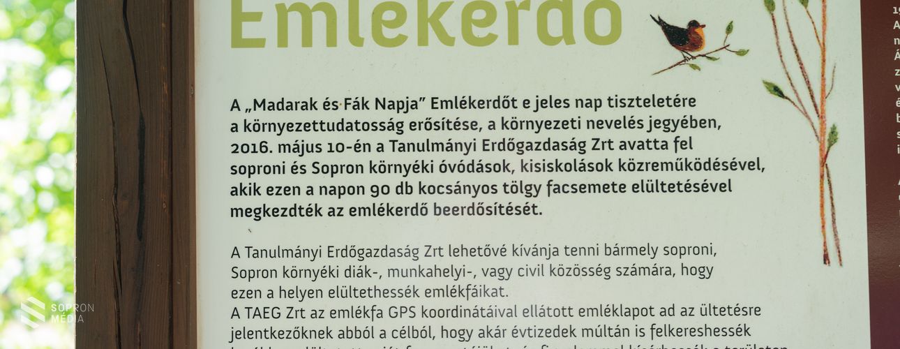10 éves a Madarak és Fák Napja Emlékerdő Sopronban - elültették az utolsó meggyfát
