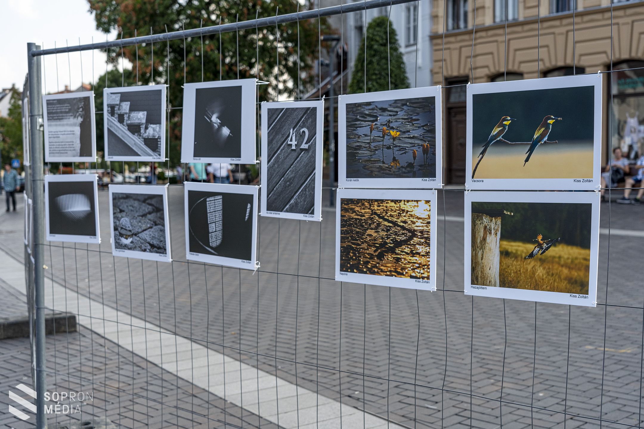 Háromnapos szabadtéri fotókiállítás nyílt a Várkerületen