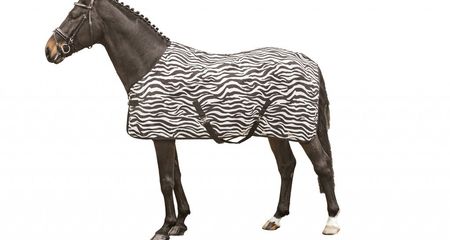 TAKARÓ HKM LÉGY ZEBRA