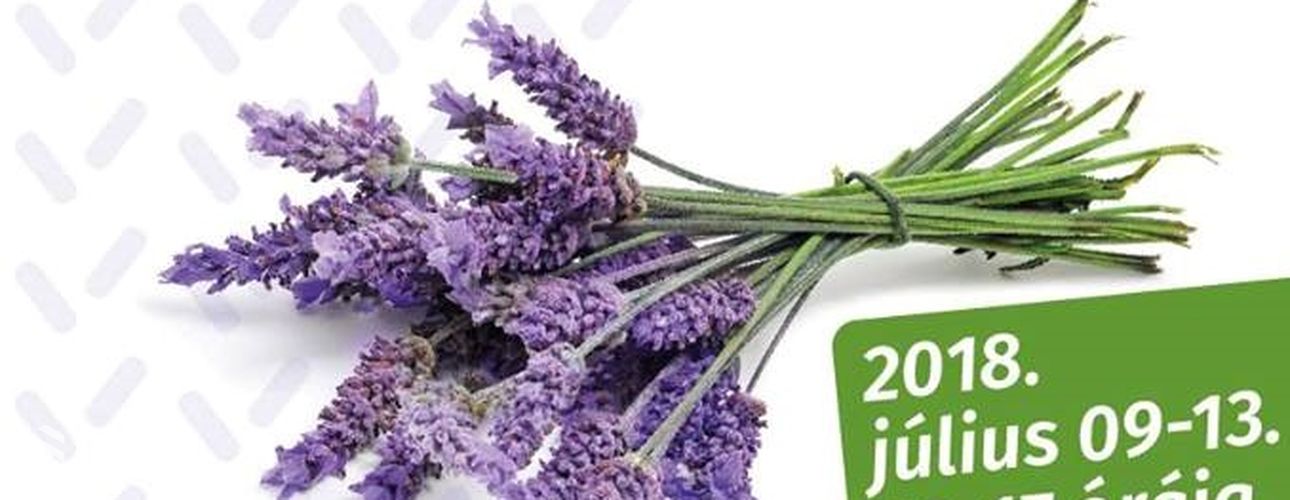 Folytatódik a levendulaszüret Eszterházán!