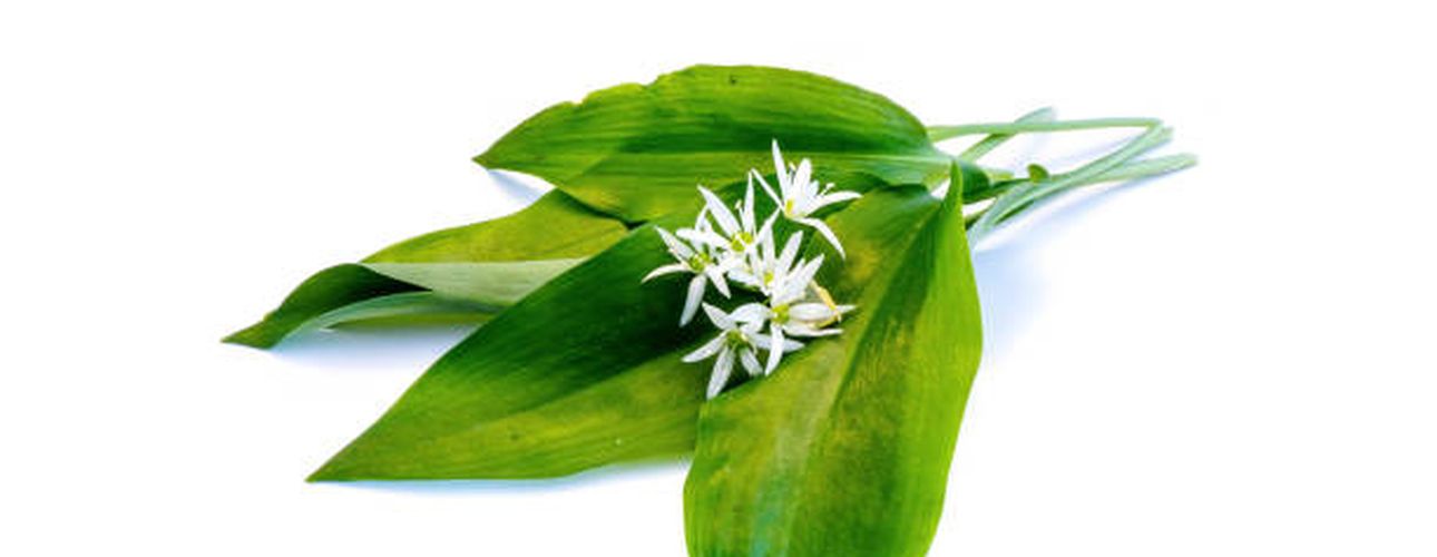 Miért fogyasszunk medvehagymát?