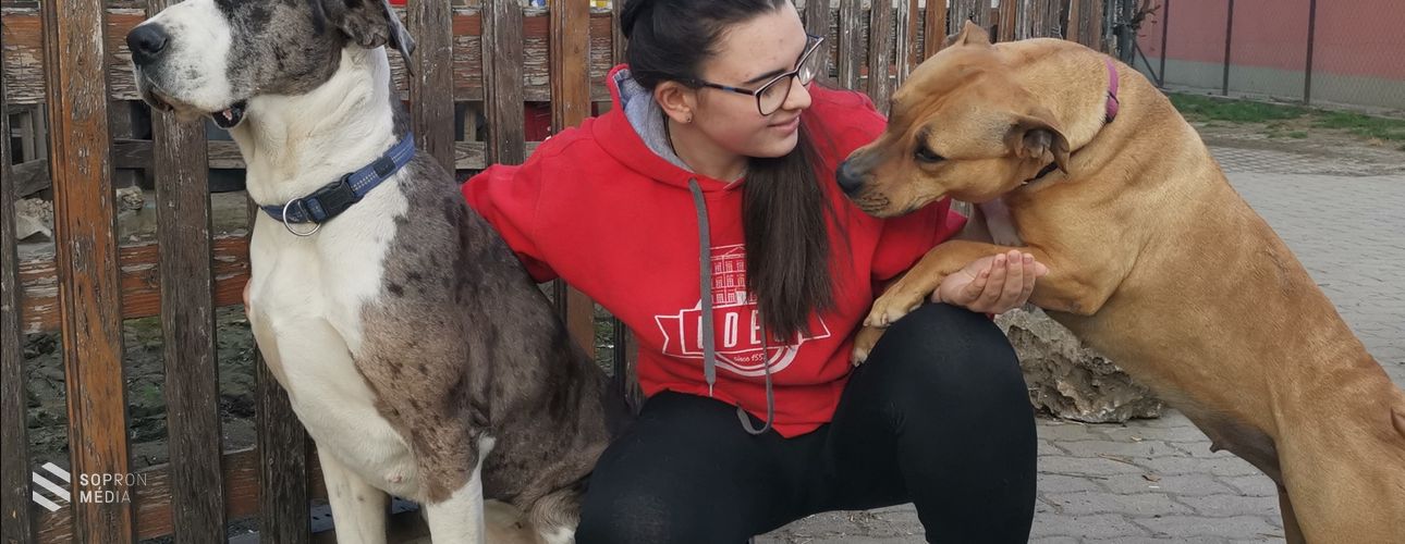 Állatokkal suttogó aranyérmes
