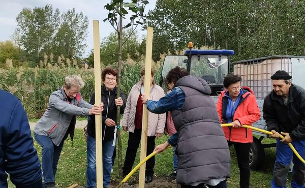 I. KÓNYI CIVIL NAP, 2025. október 11.