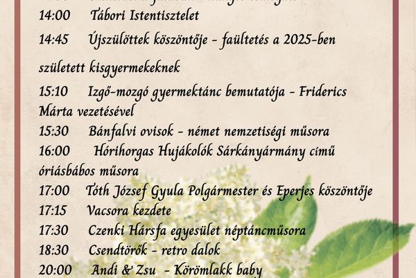 Fertőboz XXII. Bodzafesztivál