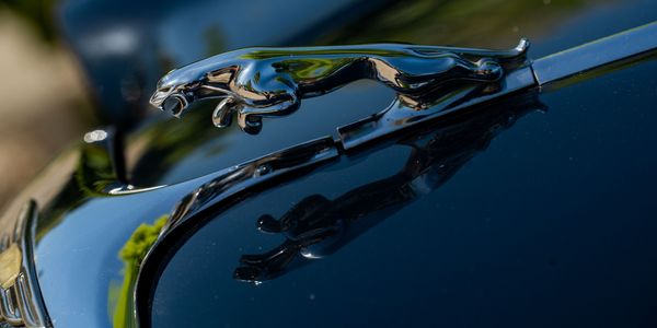 Majális a Kőfejtőben