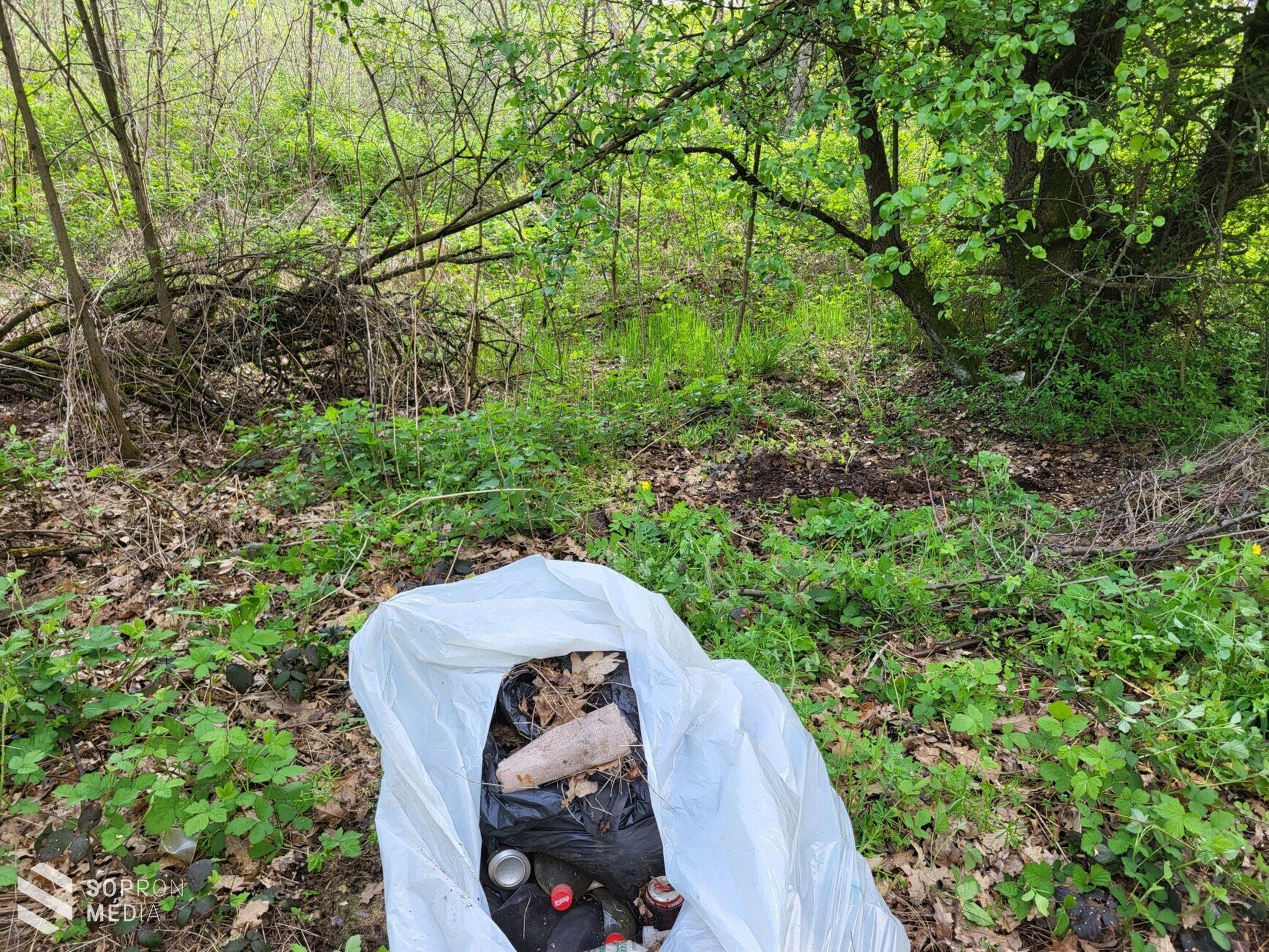Tavaszi nagytakarítás az Iván és Röjtökmuzsaj környéki erdőkben