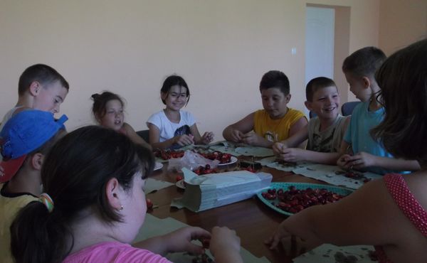 Napközis Tábor 2013