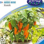 B. Paprika Hamik (cserepes, törpe) 0,25g termék képe