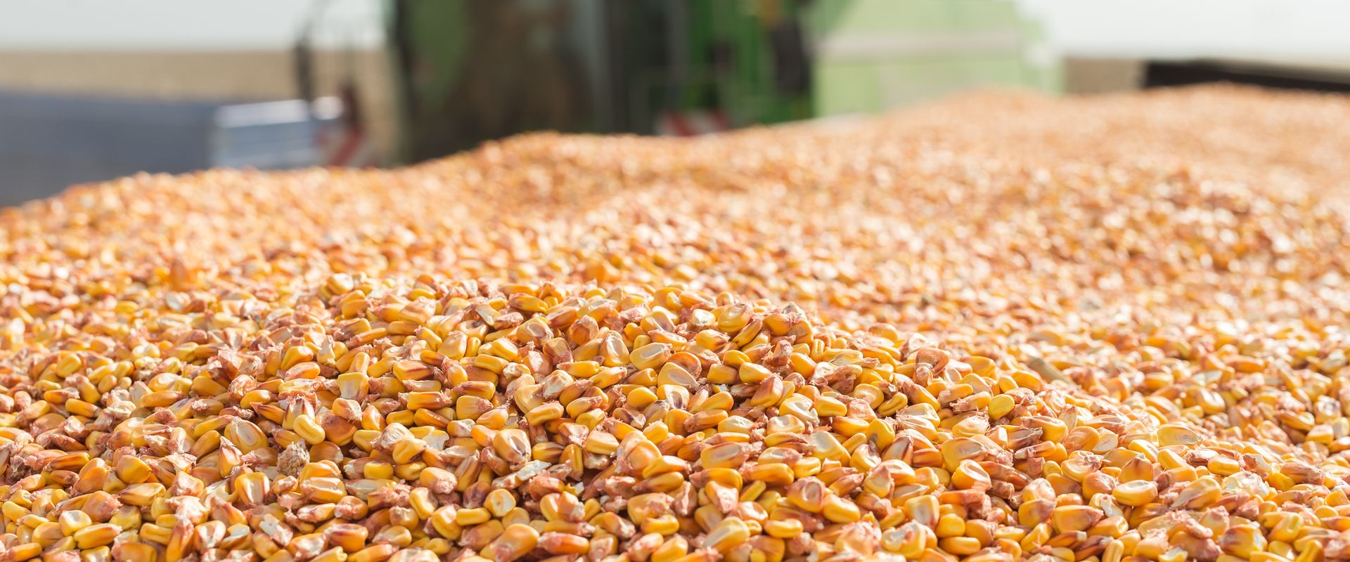 Agrofil-SZMI Kft.