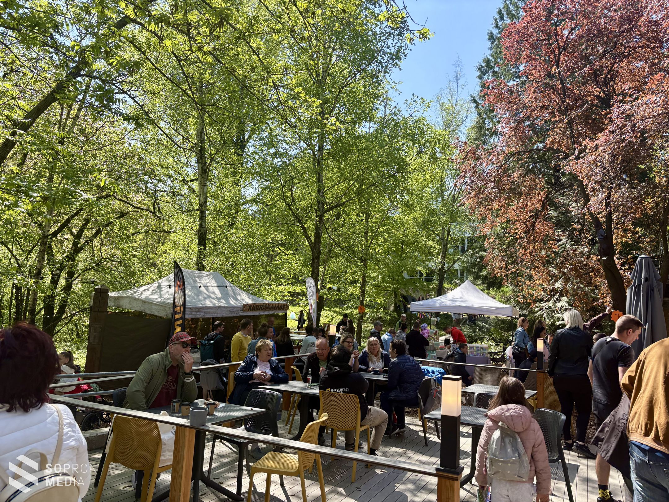 Hetedhét Családi Napot tartottak a Botanikus kertben