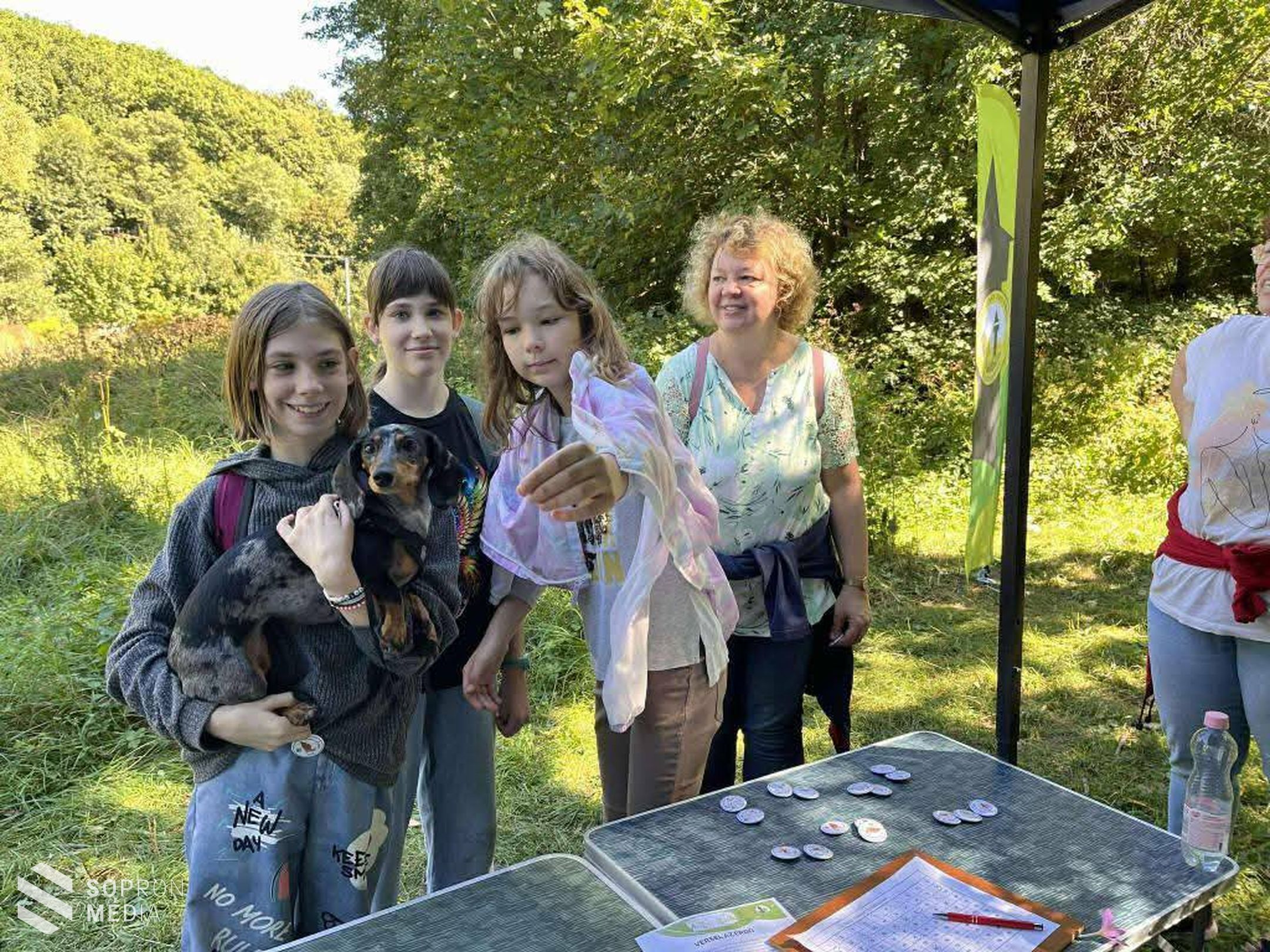 Verselt az erdő a Soproni Parkerdőben