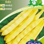 Sárgahüvelyű bokorbab Odir 100 g termék képe