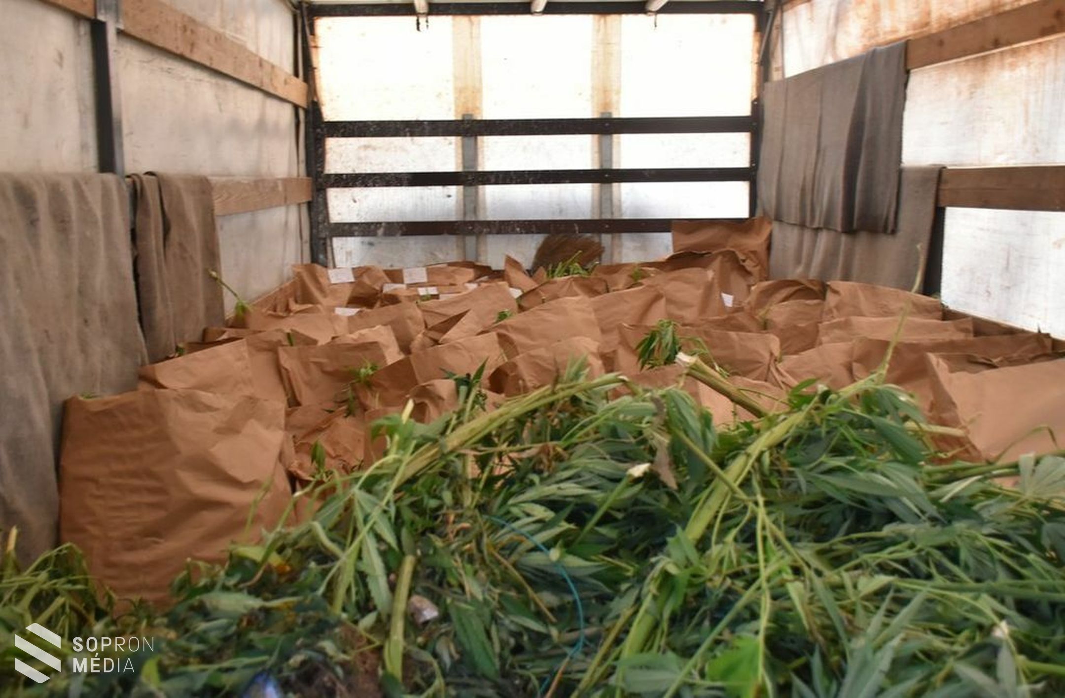 Marihuana-ültetvényt számoltak fel a soproni nyomozók