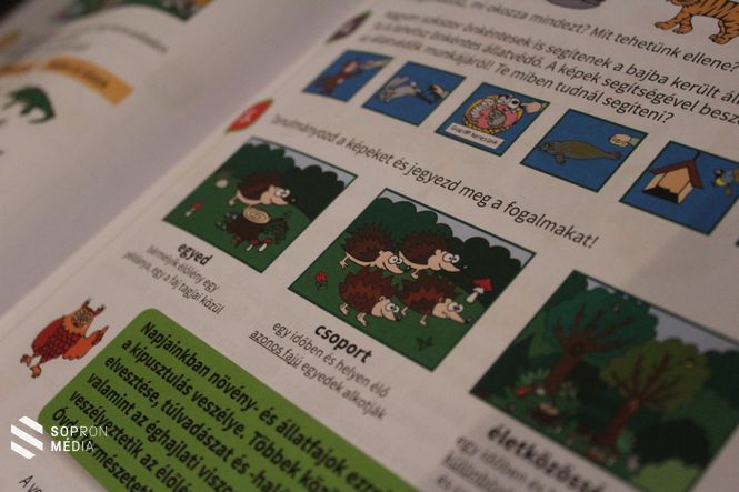 illusztráció