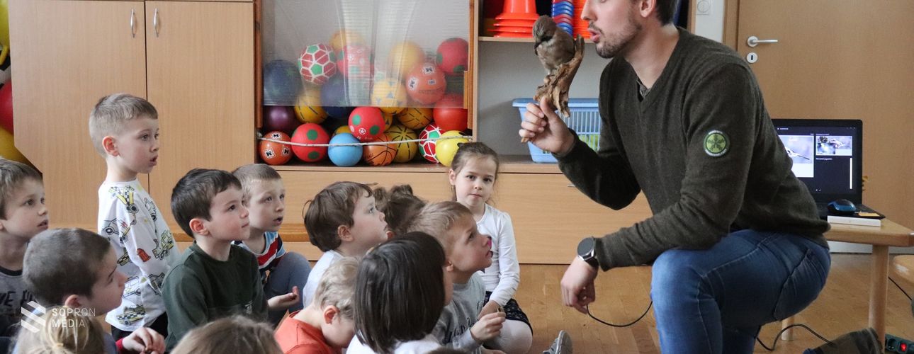 Óvodába ment az erdő