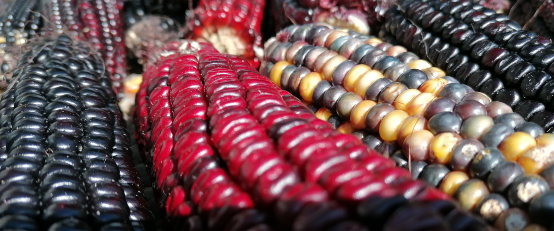 Agrofil-SZMI Kft.