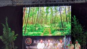 Sopron lesz az erdésztársadalom fővárosa 2027-ben