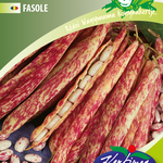 Kifejtőbab  Etna 50 g termék képe