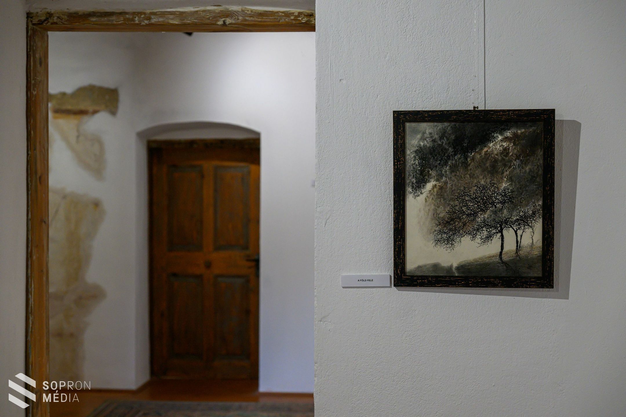 Utak és érintések - különleges kiállítás nyílt a Malmáriumban