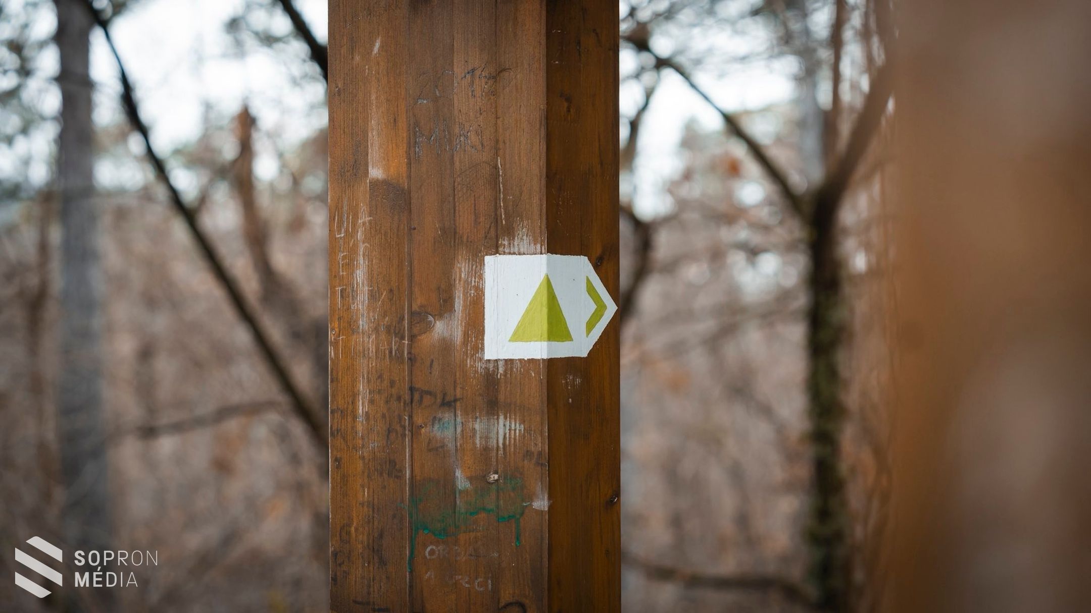 20 éves a Sörházdombi kilátó