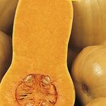 Sütőtök Orange 25 g termék képe