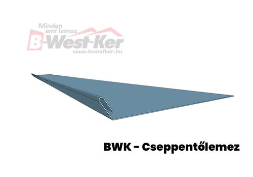 BWK - Tropfblech 2 m lang.