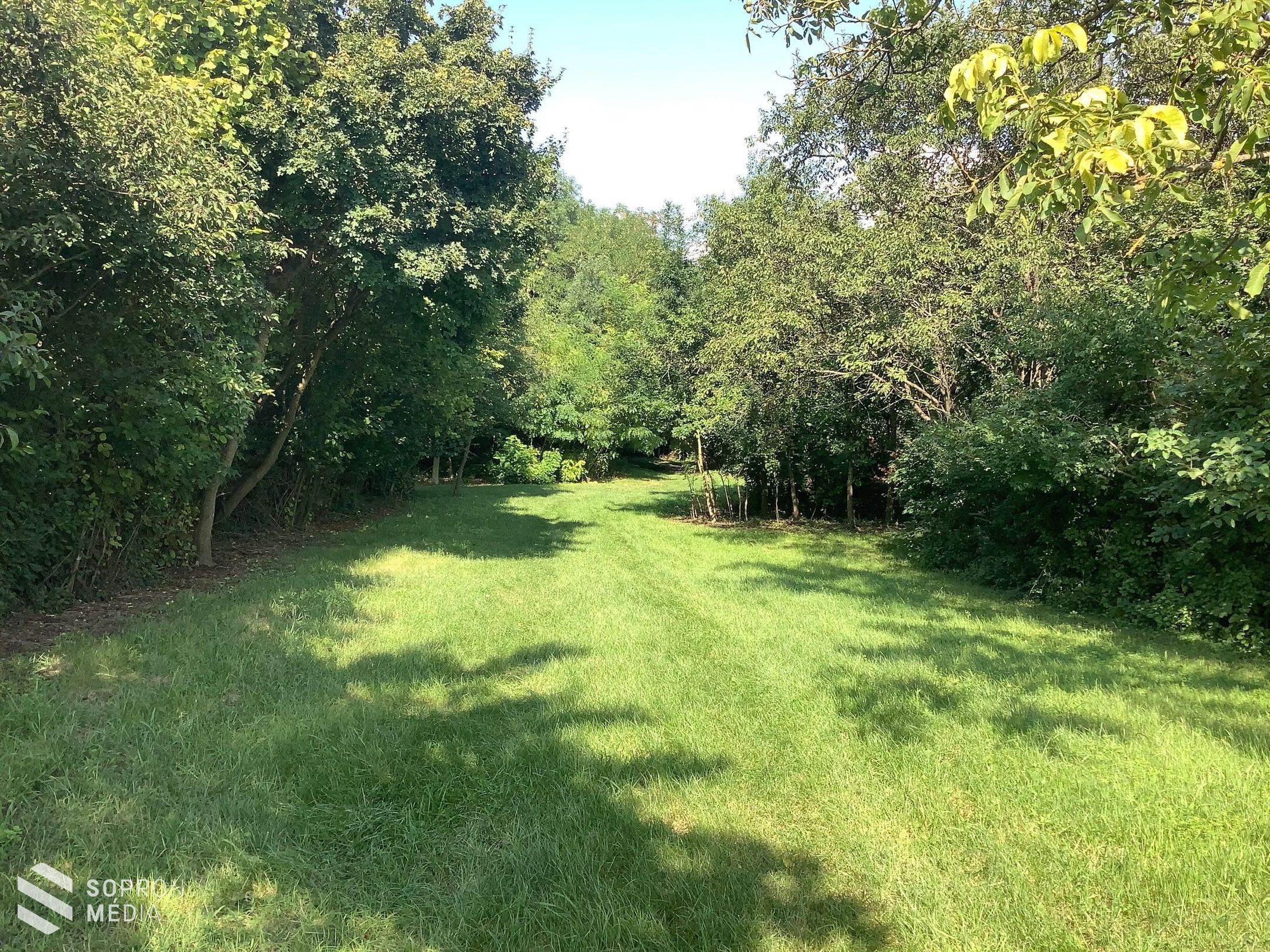 Elhagyatott Sopron környéki települést fedeztek fel