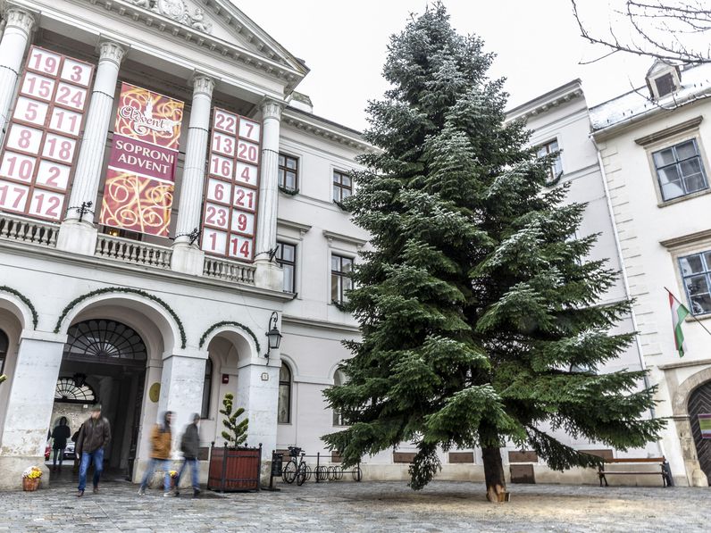 Már a Fő téren van Sopron karácsonyfája!