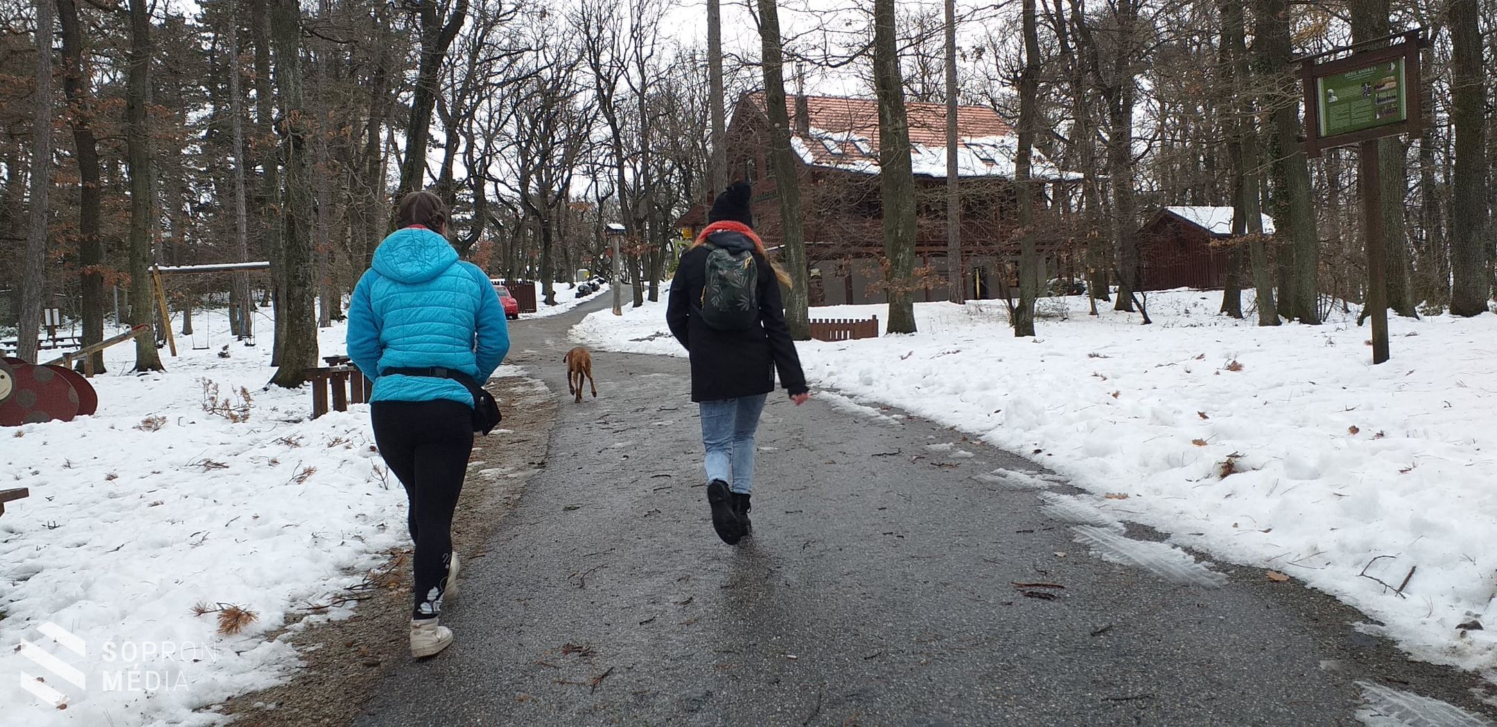 "Kiruccanás" túra a Soproni Parkerdőben