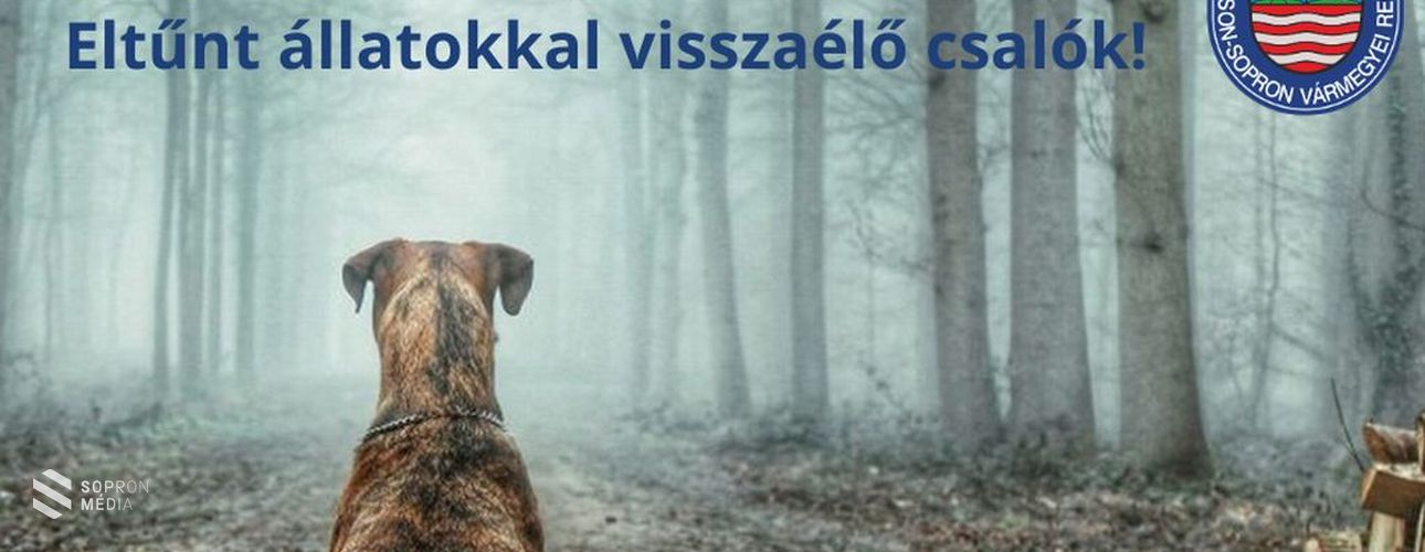 Eltűnt állatokkal élnek vissza csalók Győr-Moson-Sopron vármegyében