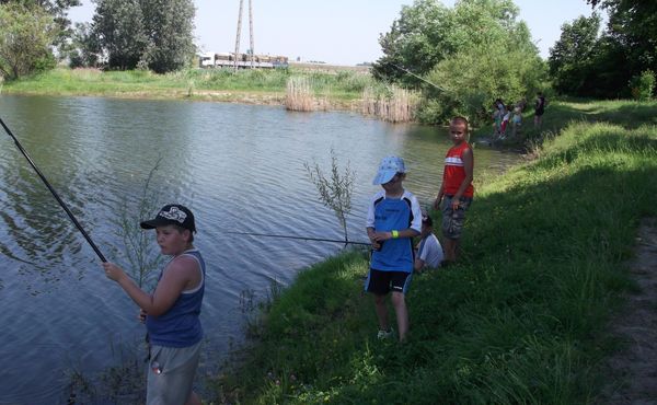 Napközis Tábor 2013