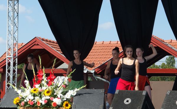25. Falunap 2014. augusztus 9.