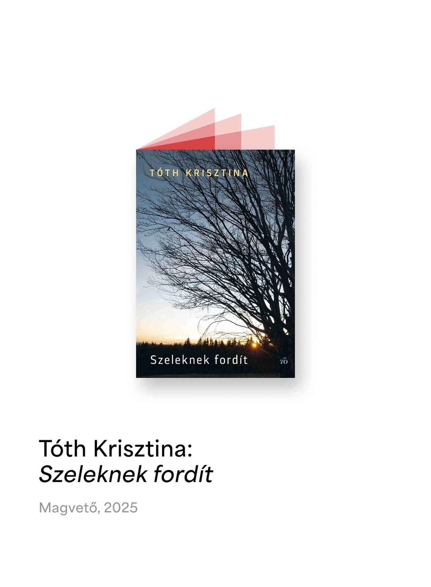 Tóth Krisztina: Szeleknek fordít
