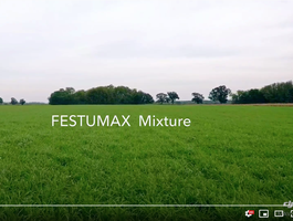 Festumax 2020 őszi vetés