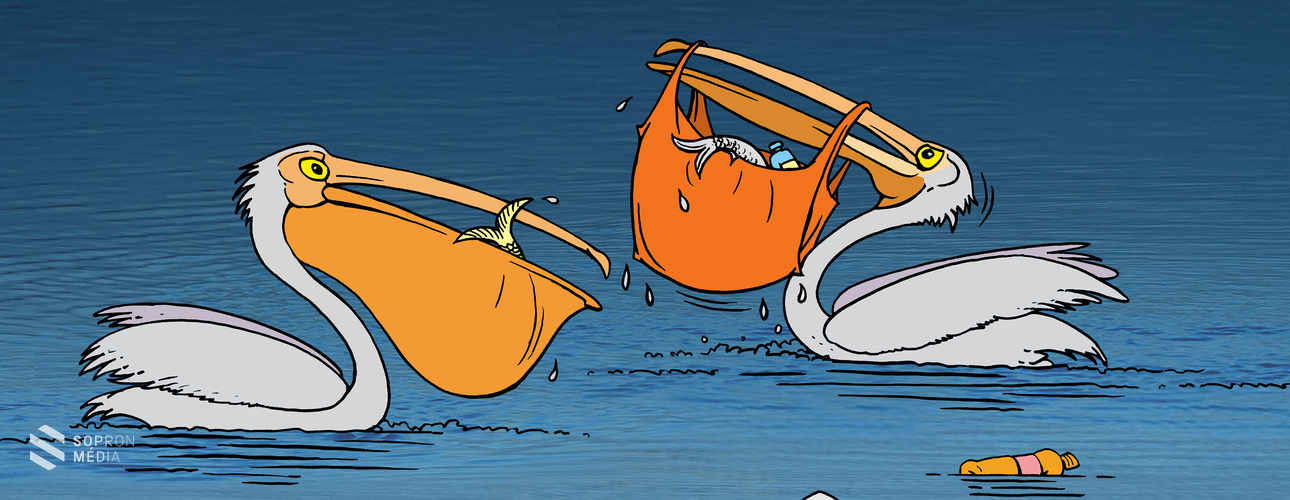 Föld napja - online karikatúra-kiállítással gondolkodtat el bolygónk jövőjéről az STKH