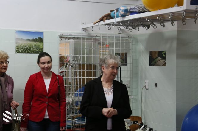 Mühl Nándorné – korábbi elnök – Rotary Club Sopron Pannónia 