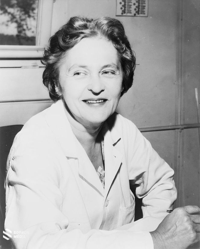 Dr. Telkes Mária