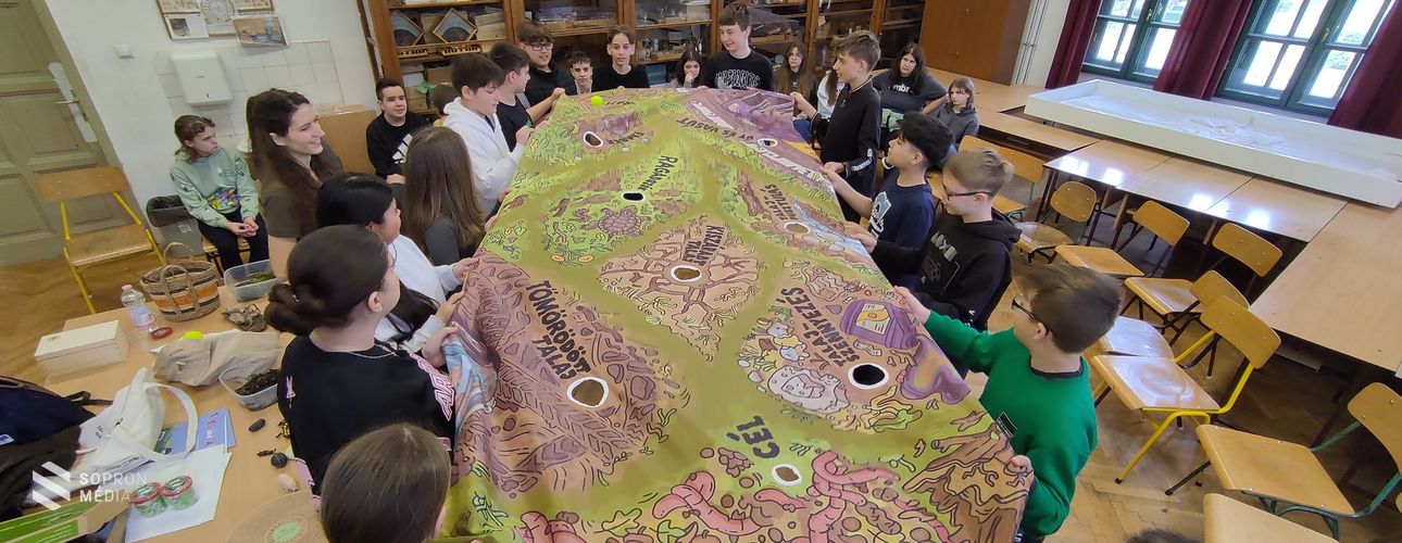 Iskolában az erdő - Pedagógusok, intézményvezetők figyelem!