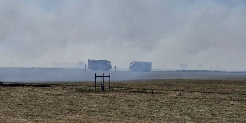 Ég az erdő az osztrák határnál