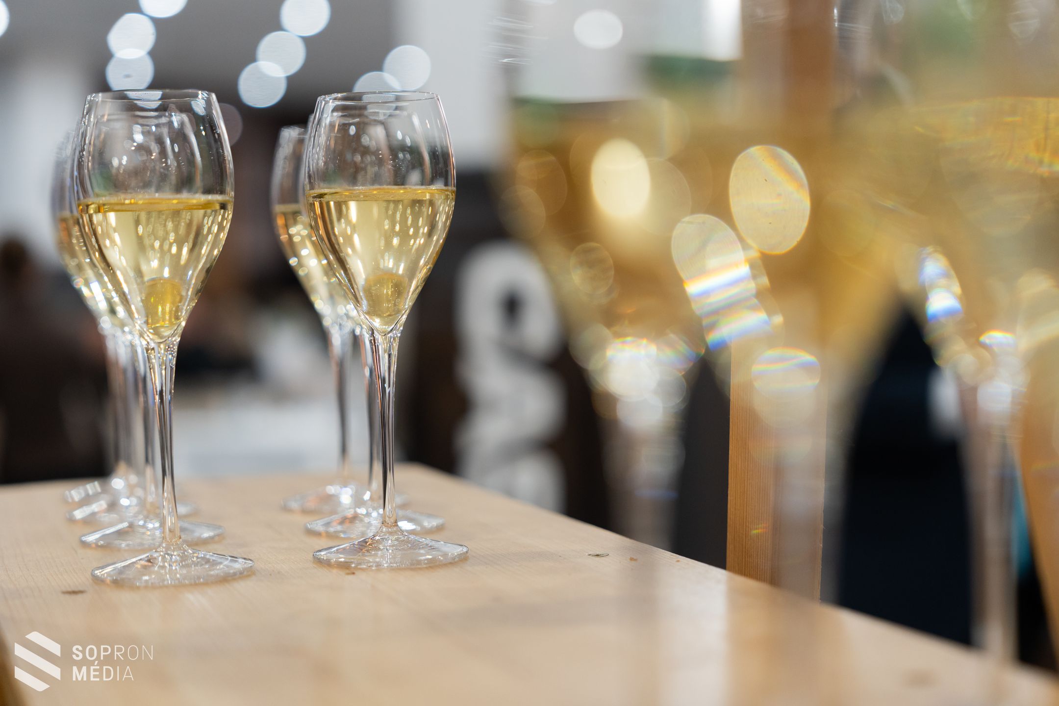 A Hotel Sopronban gyűlt össze a soproni borász szakma színe-java